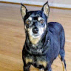 Meet your Posher, Val